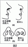 koumou-2